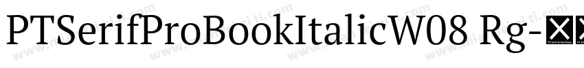 PTSerifProBookItalicW08 Rg字体转换